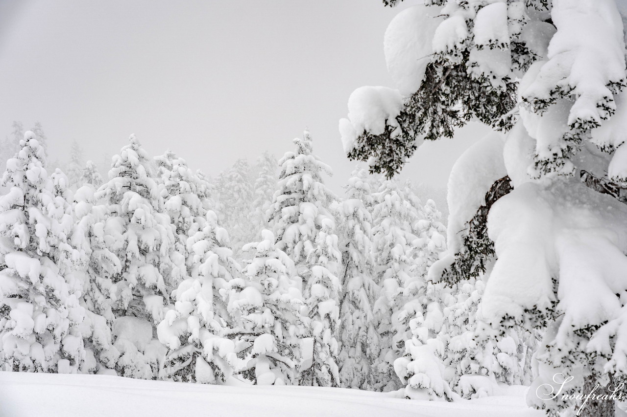 2021 Skiing photo shoot trip in ASAHIDAKE